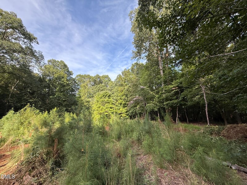 Lot 1 Orange Grv St Lot 1, Hillsborough, NC 27278