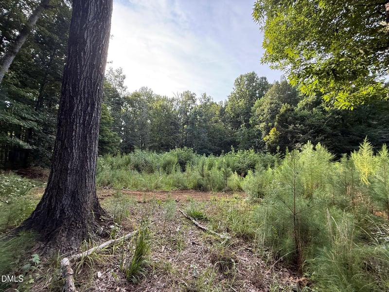 Lot 1 Orange Grv St Lot 1, Hillsborough, NC 27278
