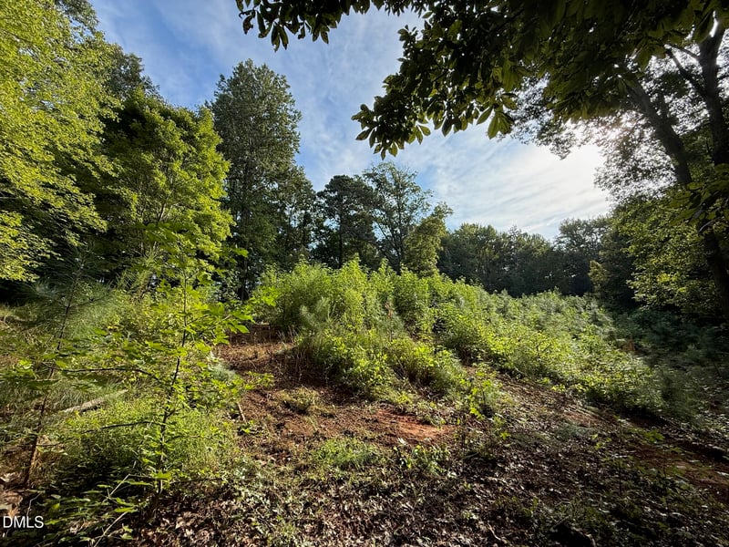 Lot 1 Orange Grv St Lot 1, Hillsborough, NC 27278