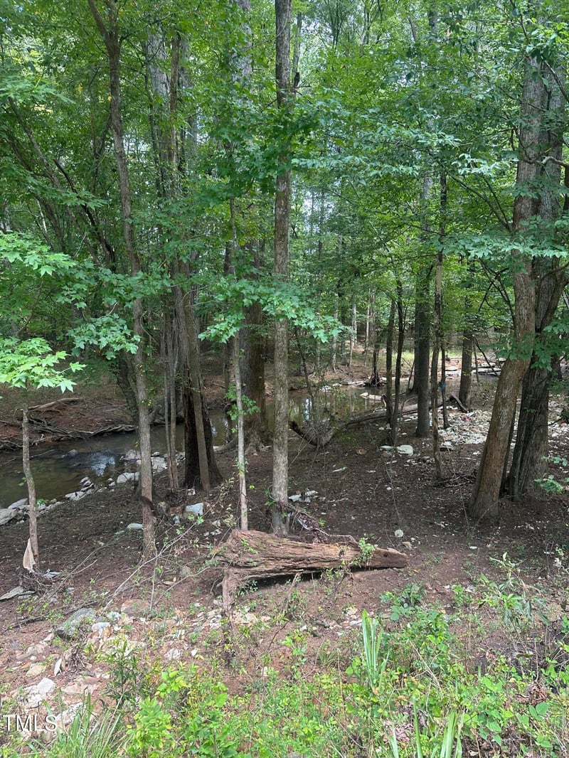 Lot 1 Schley Rd Lot 1, Hillsborough, NC 27278