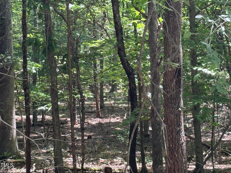Lot 10 Bellechase Rd, Hillsborough, NC 27278