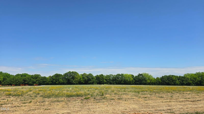 Lot 10 Dogeye Rd, Benson, NC 27504