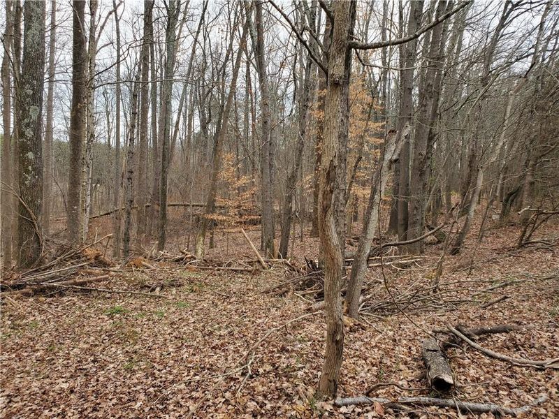Lot 10 Joe Mitchell Rd, Burlington, NC 27217