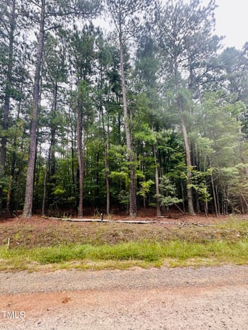 Lot 10 Natchez Trace Lot 10 Blk 1 Lot 10, Fuquay Varina, NC 27526