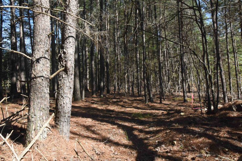 Lot 11 Array Dr Lot 11, Chapel Hill, NC 27516