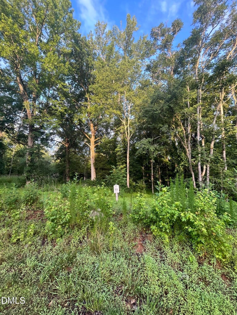 Lot 11 Gallant Fox Crossing Lot 11, Chapel Hill, NC 27516