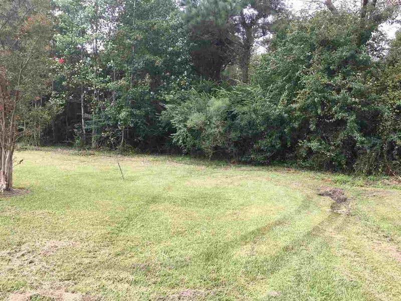 lot 12 Carroll Byrd Ln Lot 12, Dunn, NC 28334