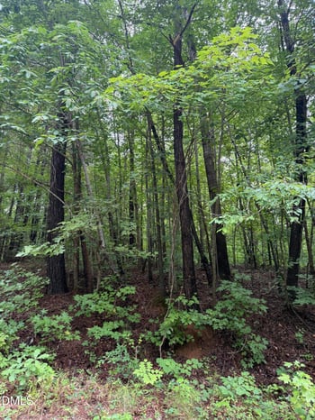 Lot 12 Frazier Ln Lot 12, Franklinton, NC 27525