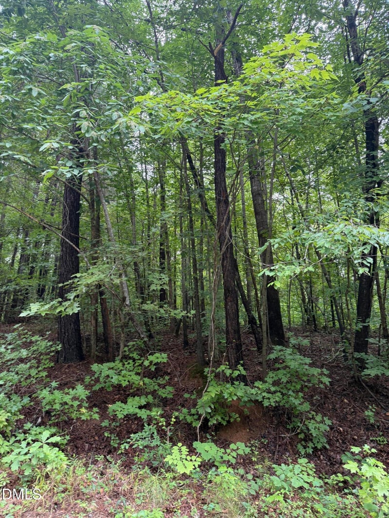 Lot 12 Frazier Ln Lot 12, Franklinton, NC 27525