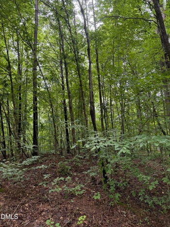 Lot 12 Frazier Ln Lot 12, Franklinton, NC 27525