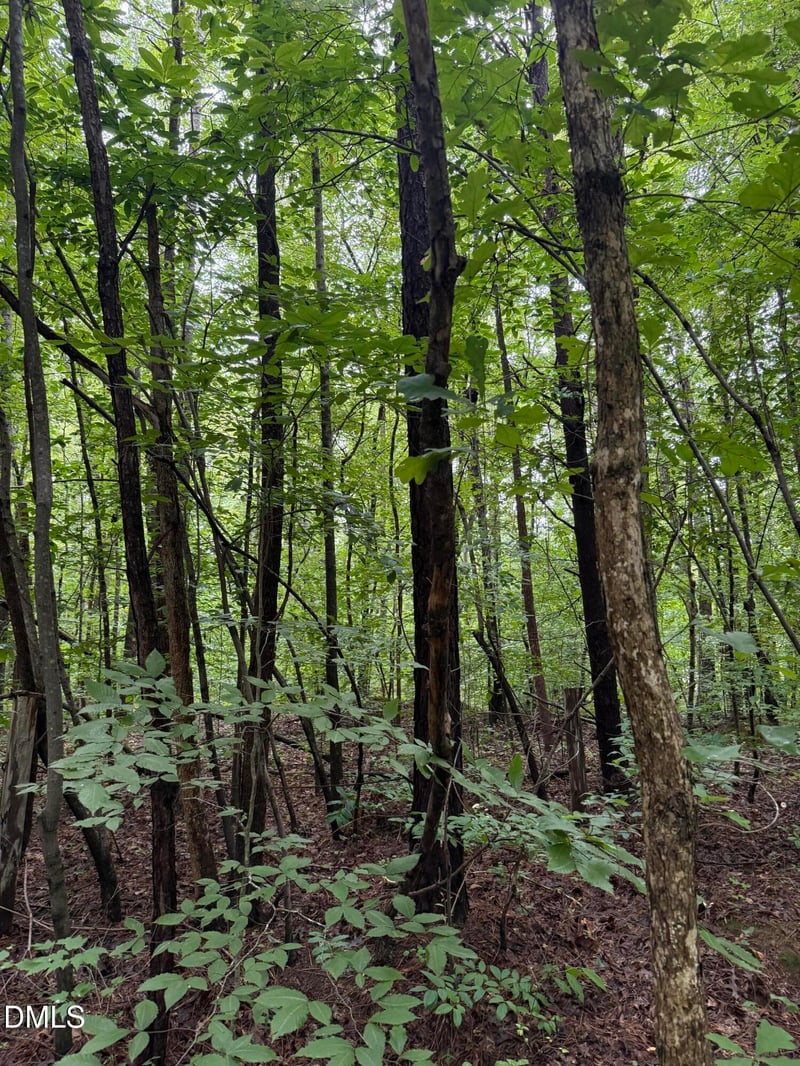 Lot 12 Frazier Ln Lot 12, Franklinton, NC 27525