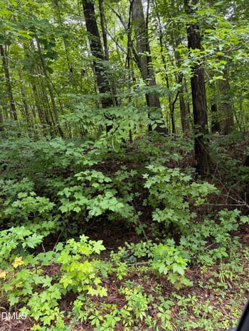 Lot 12 Frazier Ln Lot 12, Franklinton, NC 27525