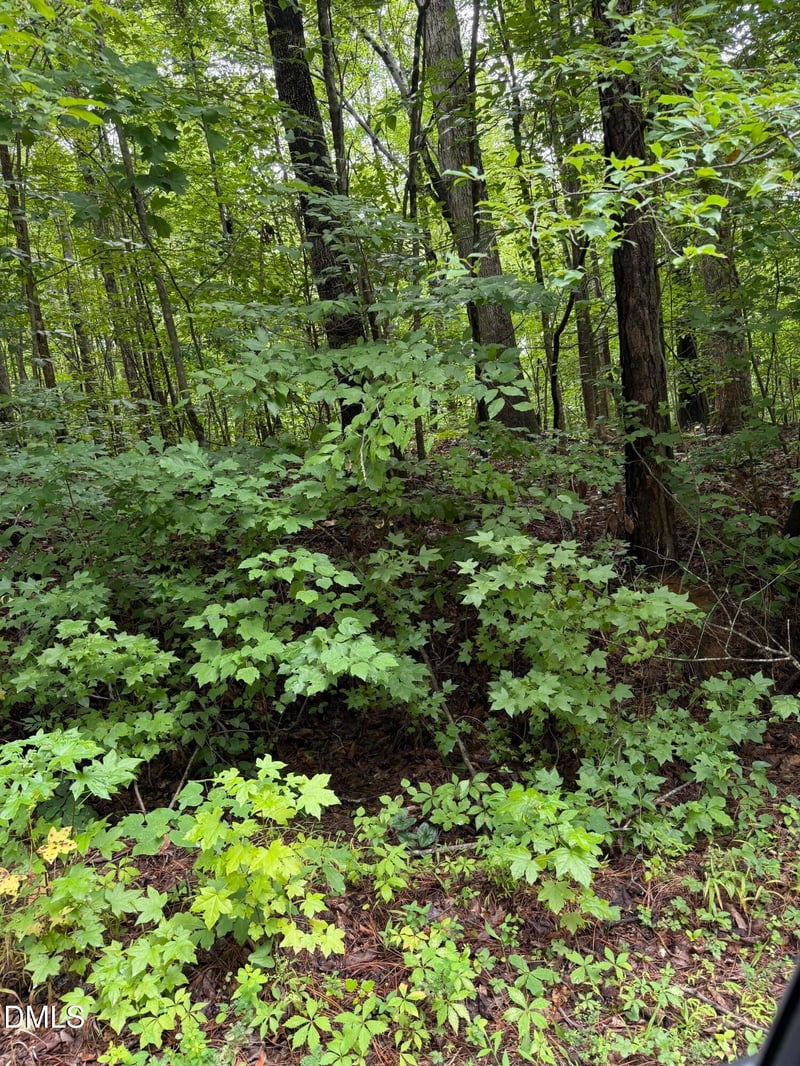 Lot 12 Frazier Ln Lot 12, Franklinton, NC 27525