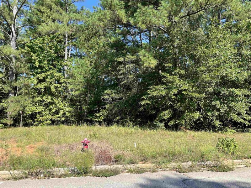 Lot 13 Gateway Dr, Clayton, NC 27520