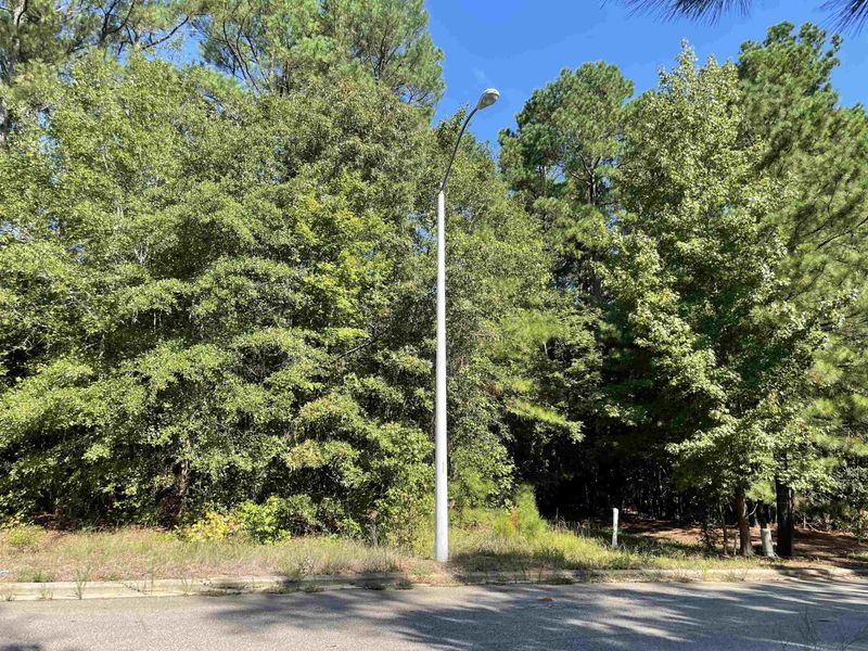 Lot 13 Gateway Dr, Clayton, NC 27520