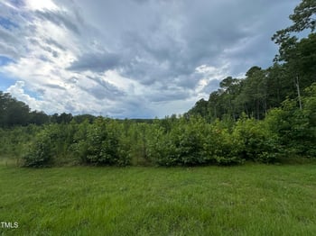 Lot 17 Crown Oaks Dr, Oxford, NC 27565