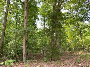 Lot 17 Oakdale Dr Lot 17, Roxboro, NC 27574