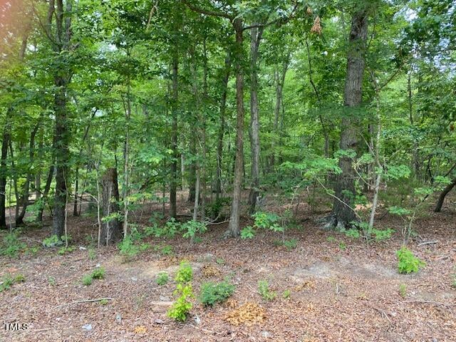 Lot 17 Oakdale Dr Lot 17, Roxboro, NC 27574