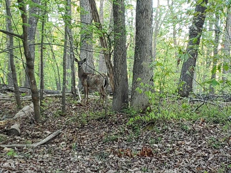 Lot 2 Deer Run Trl, Hillsborough, NC 27278