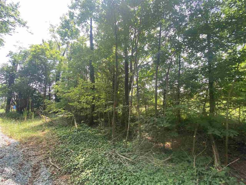 Lot 2 S Eighth St Lot 2, Mebane, NC 27302