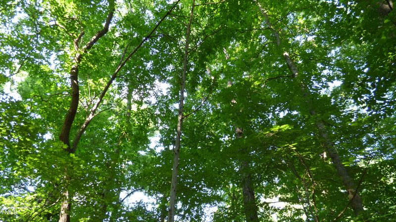 Lot 2 Forest Dr Lot 3, Graham, NC 27253