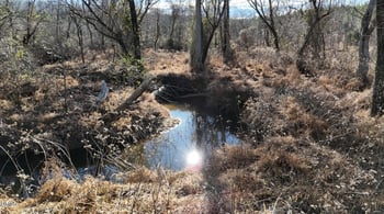Lot 2 Hurdle Mills Rd Lot 1, Roxboro, NC 27574