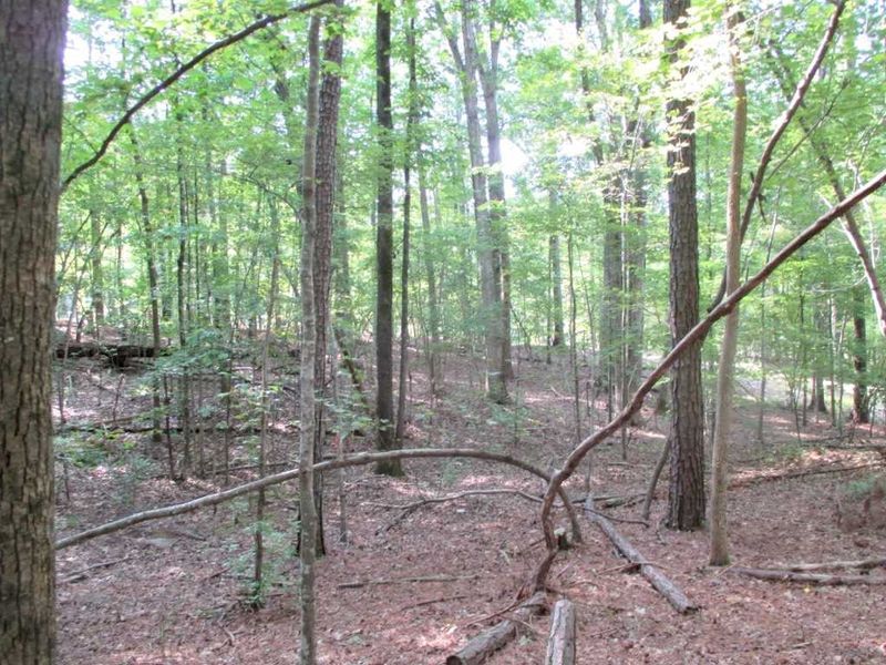 Lot 2 Old School Rd Lot 2, Chapel Hill, NC 27516