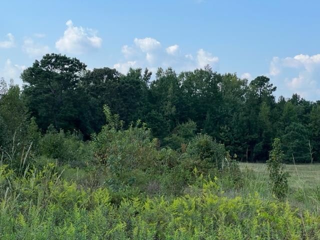 lot 2 Old Stage Rd Lot 2, Coats, NC 27521