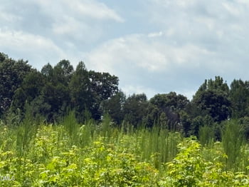 Lot 2 Sams Rd Lot 2, Mebane, NC 27302