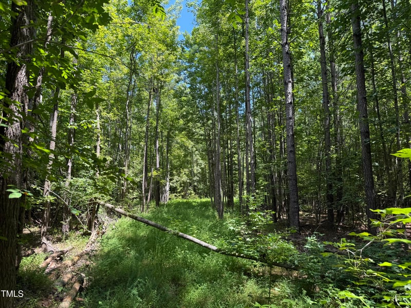 Lot 2 Stonehouse Ct, Franklinton, NC 27525