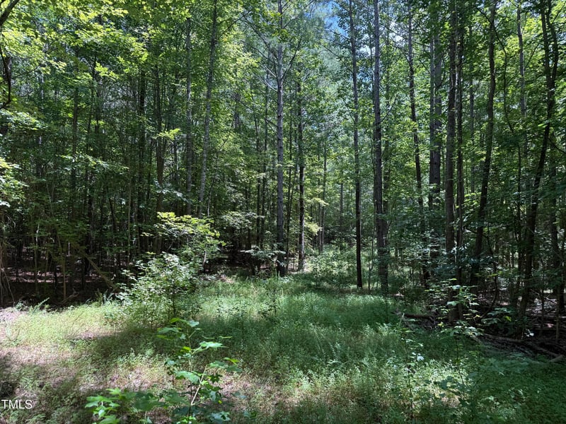 Lot 2 Stonehouse Ct, Franklinton, NC 27525