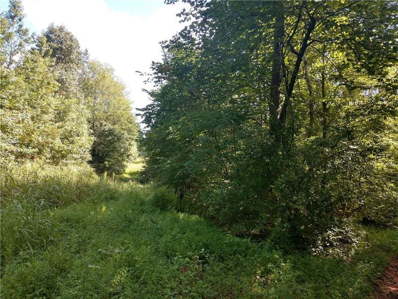 Lot 2 Three Fillies Trl, Mebane, NC 27302