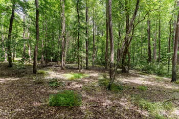Lot 3 Country Routt Brown Rd, Pittsboro, NC 27312