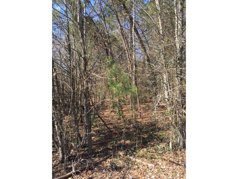 Lot 3 Lakeside Ave, Burlington, NC 27217