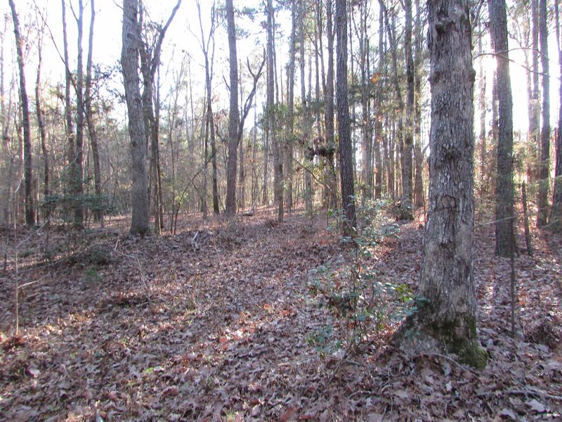 Lot 3 Lutterloh Rd Lot 3, Pittsboro, NC 27312