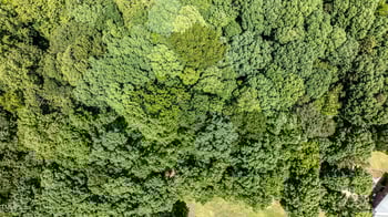 Lot 3 Maylon Ln, Clayton, NC 27520