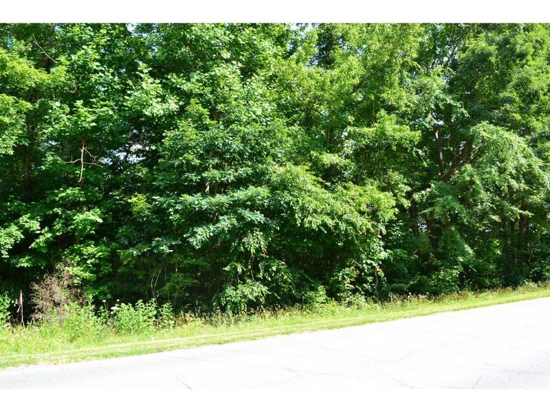Lot 3 Rogers Rd, Graham, NC 27253