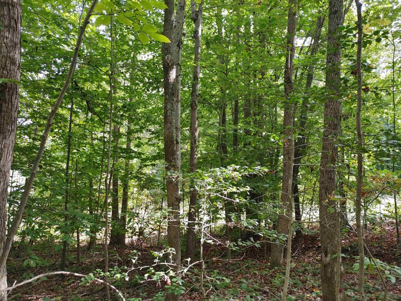 Lot 3 Virgilina Rd, Roxboro, NC 27574
