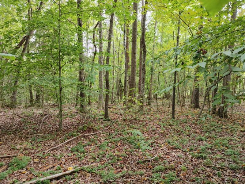 Lot 3 Virgilina Rd, Roxboro, NC 27574