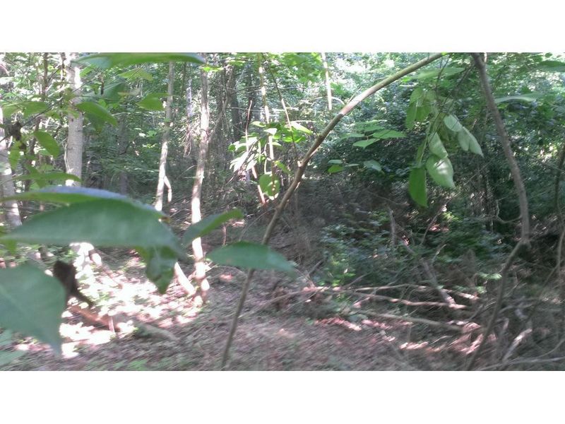 Lot 3 Whitaker Rd, Mebane, NC 27302