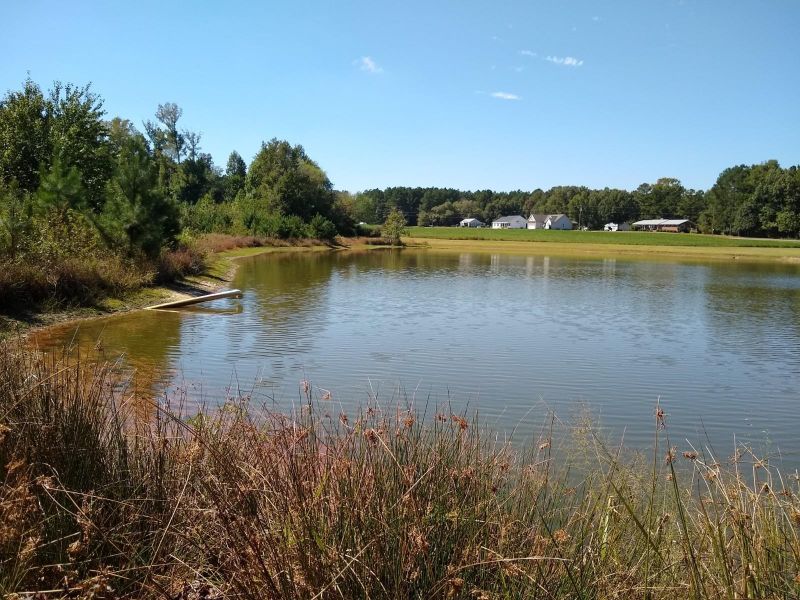 Lot 3 Williams White Rd Lot 3, Zebulon, NC 27597