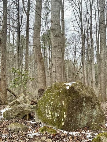 Lot 34 Nicks Bend, Pittsboro, NC 27312