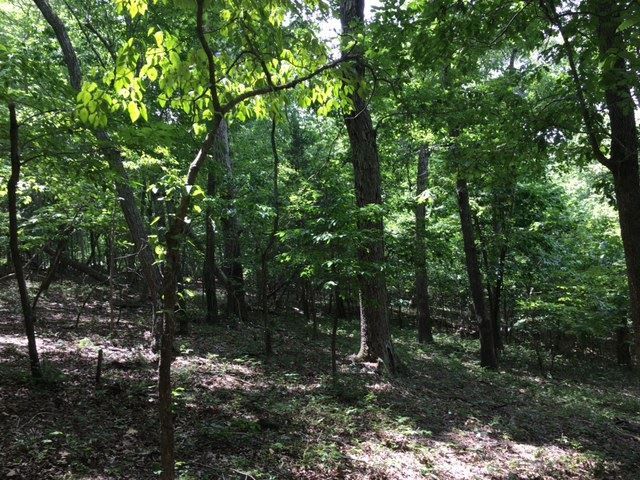 Lot 3B Maxeben Way Lot 3B, Chapel Hill, NC 27516