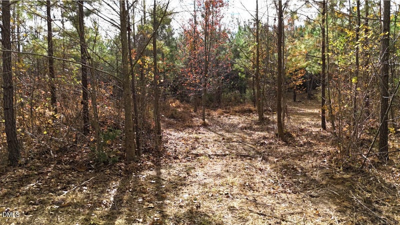 Lot 4 Bessie Daniel Rd Lot 4, Roxboro, NC 27574