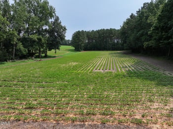 Lot 4 Claude Lewis Rd Lot 4, Middlesex, NC 27557