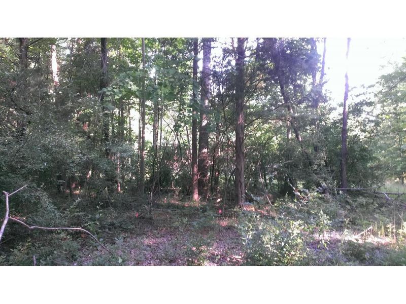Lot 4 Whitaker Rd, Mebane, NC 27302