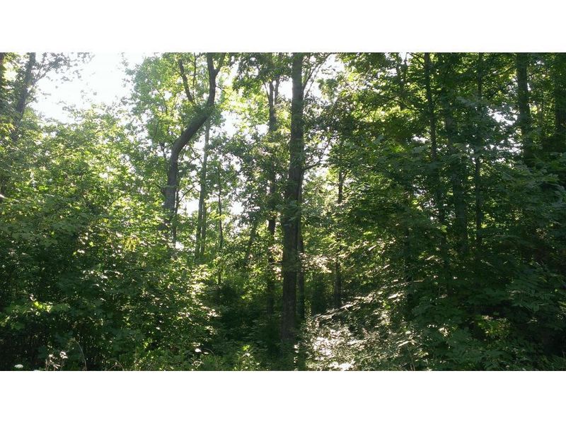 Lot 4 Whitaker Rd, Mebane, NC 27302