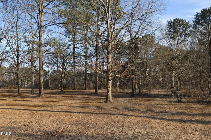 Lot 4 Will Suitt Rd, Creedmoor, NC 27522