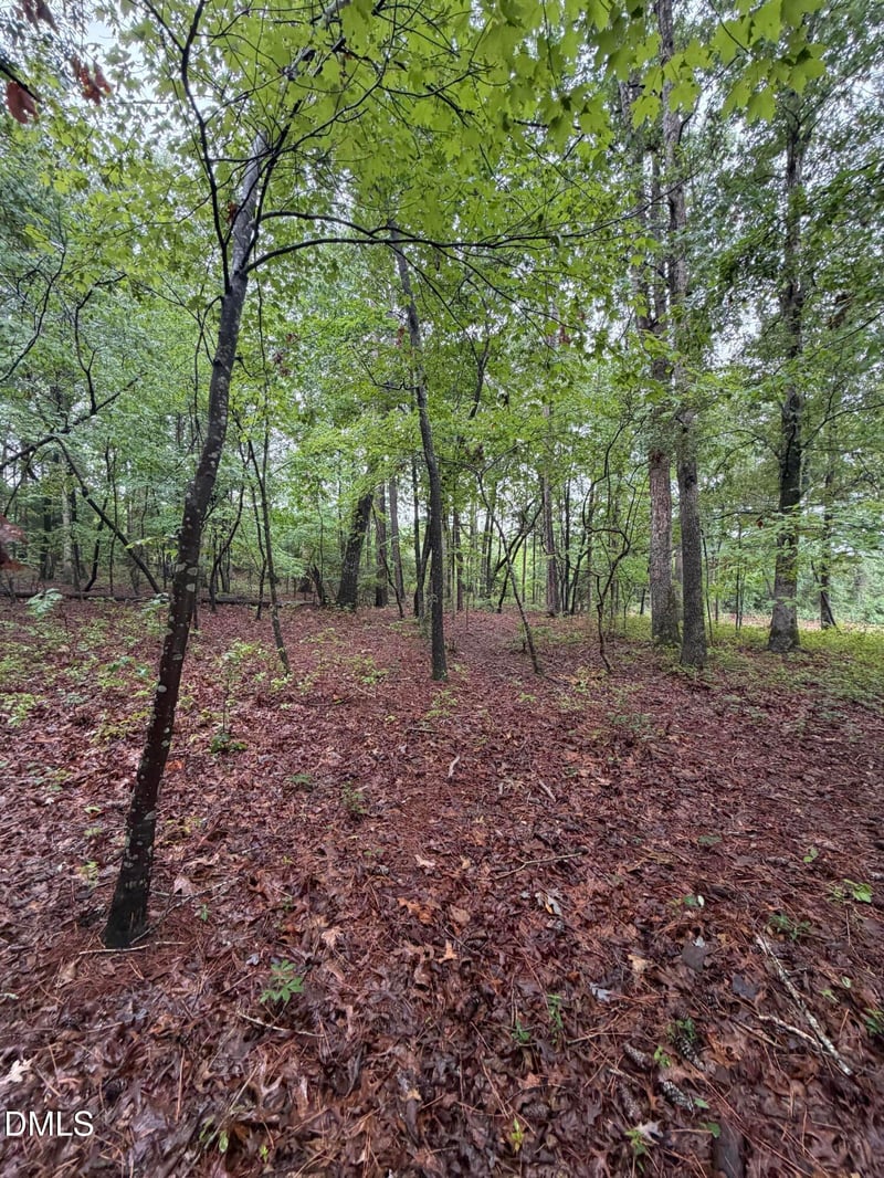 Lot 5 Claude Lewis Rd Lot 5, Middlesex, NC 27557