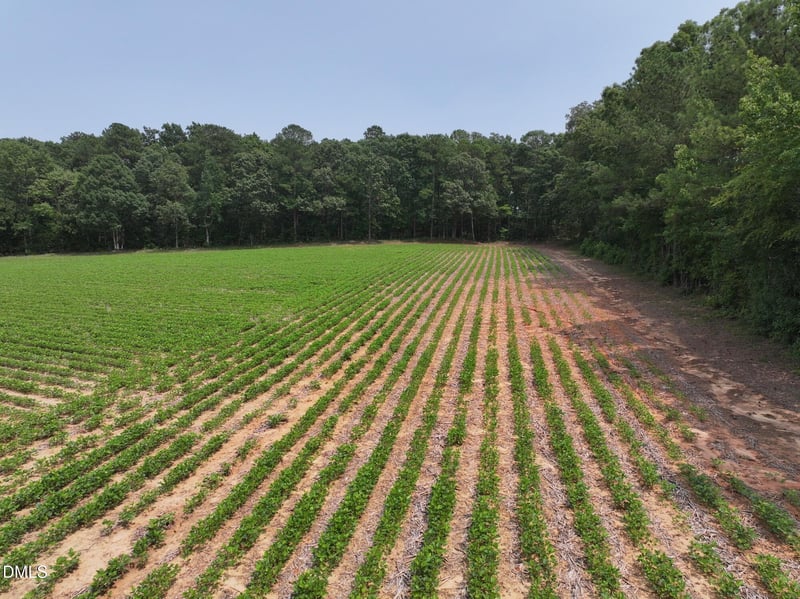 Lot 5 Claude Lewis Rd Lot 5, Middlesex, NC 27557